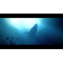 Under The Waves PS4