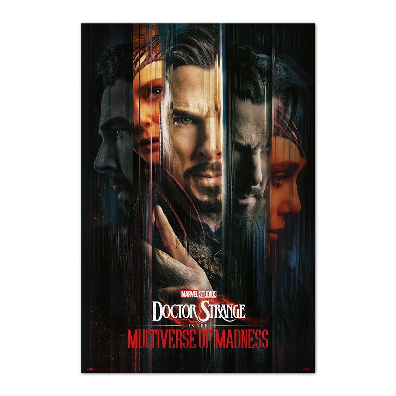 Poster Marvel Doctor Strange Multiverse Doctors