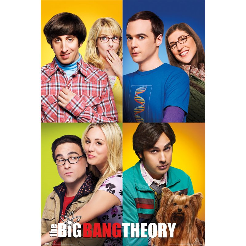 Poster The Big Bang Theory Mosaico