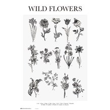 Poster Vintage Wild Flowers