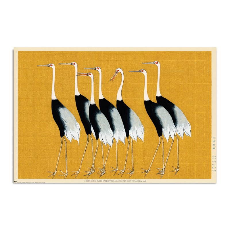 Poster Flock Of Beautiful Japanese Red Crown Crane By O. Korin