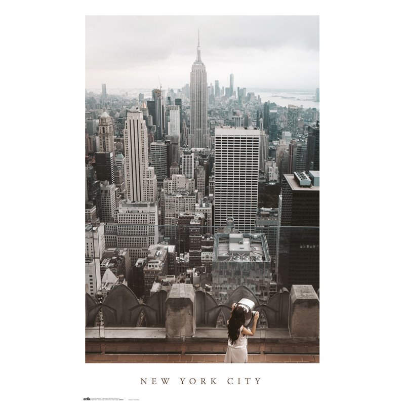 Poster Nueva York City Views